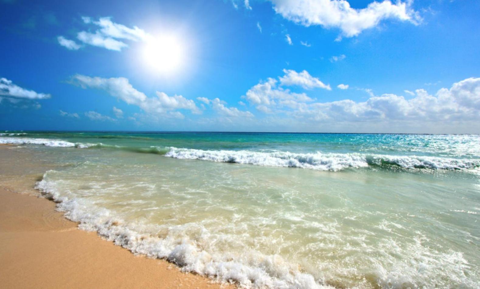 Sunny Beach Plaza 33 Studio المظهر الخارجي الصورة